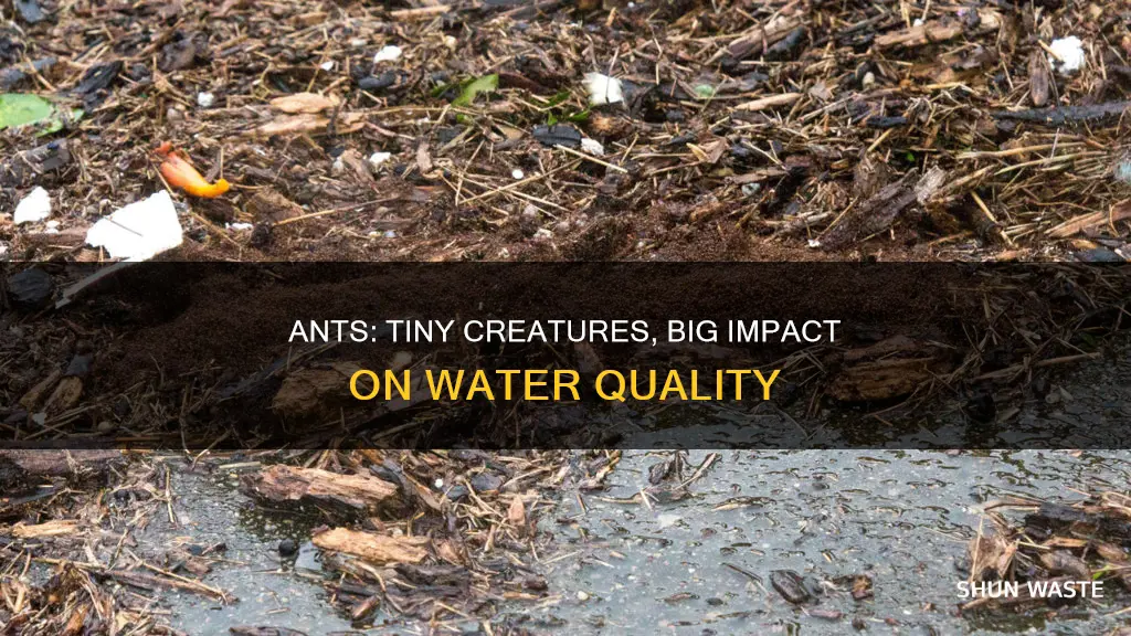 does ant pollute water