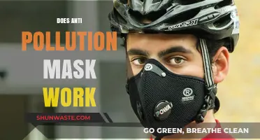 Anti-Pollution Masks: Effective or Useless?