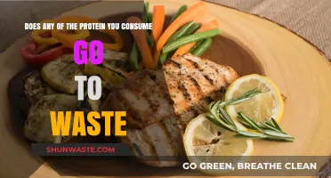 Maximizing Protein Intake: Does Your Body Waste Any Consumed Protein?