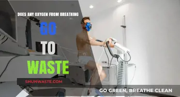 Breathing Efficiency: Does Oxygen Go to Waste in Our Bodies?