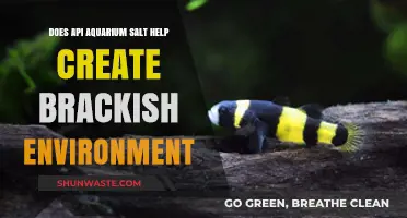 API Aquarium Salt: Key to Creating Brackish Water Environments?