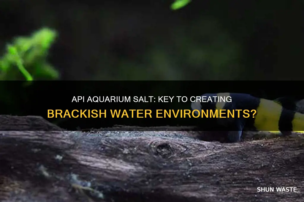 does api aquarium salt help create brackish environment