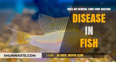 Can API General Cure Effectively Treat Wasting Disease in Aquarium Fish?