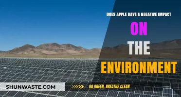 Apple's Environmental Footprint: Uncovering the Tech Giant's Impact on Nature
