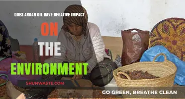 Argan Oil's Environmental Impact: Sustainable or Harmful to Ecosystems?