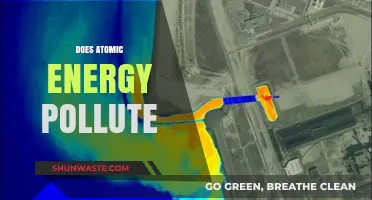 Atomic Energy: Pollution or Clean Power?