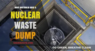 Australia's Nuclear Waste Dilemma: Does a Dump Exist?