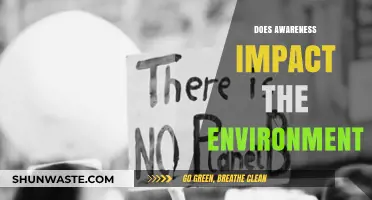 How Environmental Awareness Shapes Our Planet's Future and Sustainability
