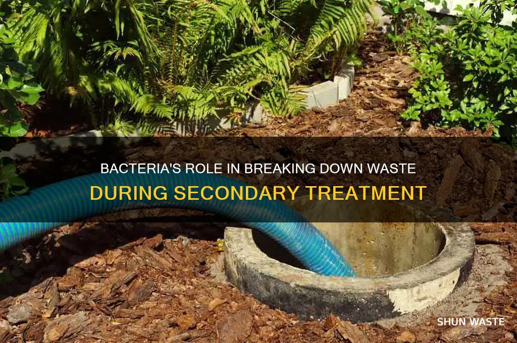 does bacteia break down wastes during secondary treatment