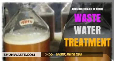 Do Bacteria Survive Wastewater Treatment? Exploring the Process and Outcomes