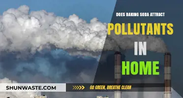 Baking Soda: Home Pollutant Magnet?