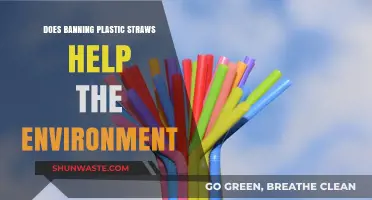 Plastic Straw Bans: Effective Environmental Solution or Symbolic Gesture?