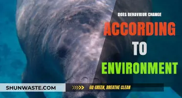 Environment's Impact: Shaping Behavior and Adapting to Surroundings