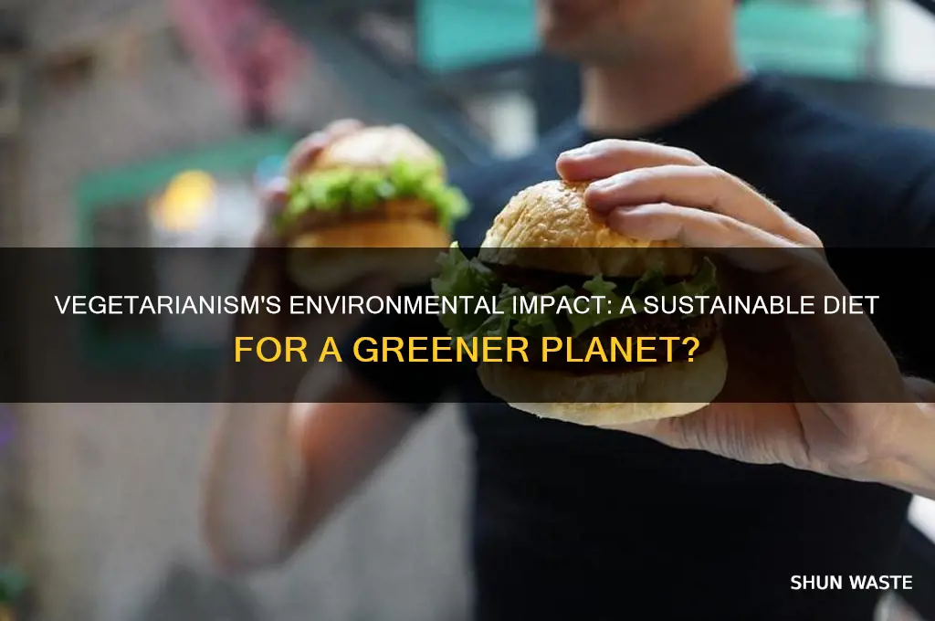 does being vegetarian affect the environment