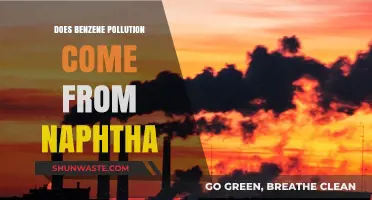 Benzene Pollution: Naphtha's Toxic Trail