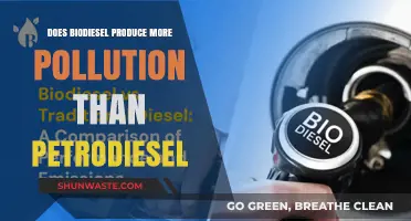 Biodiesel vs Petrodiesel: Which Fuel Pollutes More?