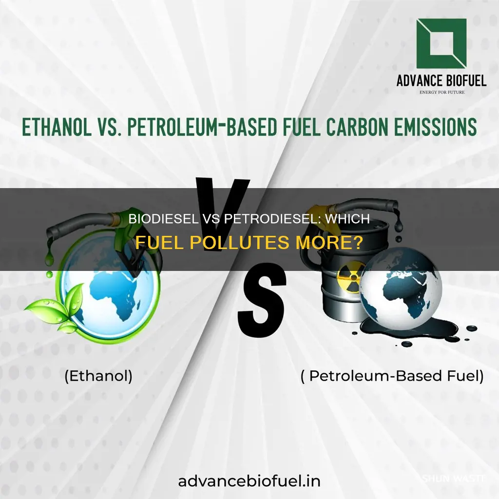 does biodiesel produce more pollution than petrodiesel
