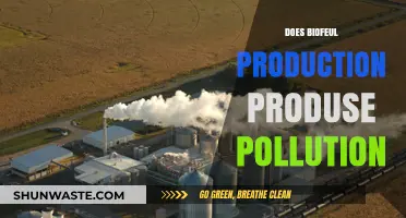 Biofuel Production: Green Energy or Polluting Process?