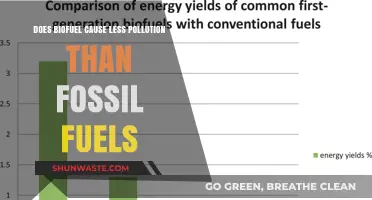 Biofuel's Environmental Impact: A Greener Alternative or Greenwashing?