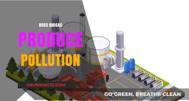 Biogas: Clean Energy or Polluting the Environment?