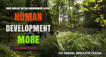 Biology vs. Environment: Which Shapes Human Development More Significantly?