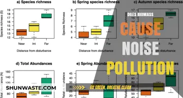 Biomass Energy: A Quiet Power or a Noisy Concern?