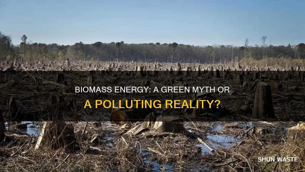 does biomass cause pollution