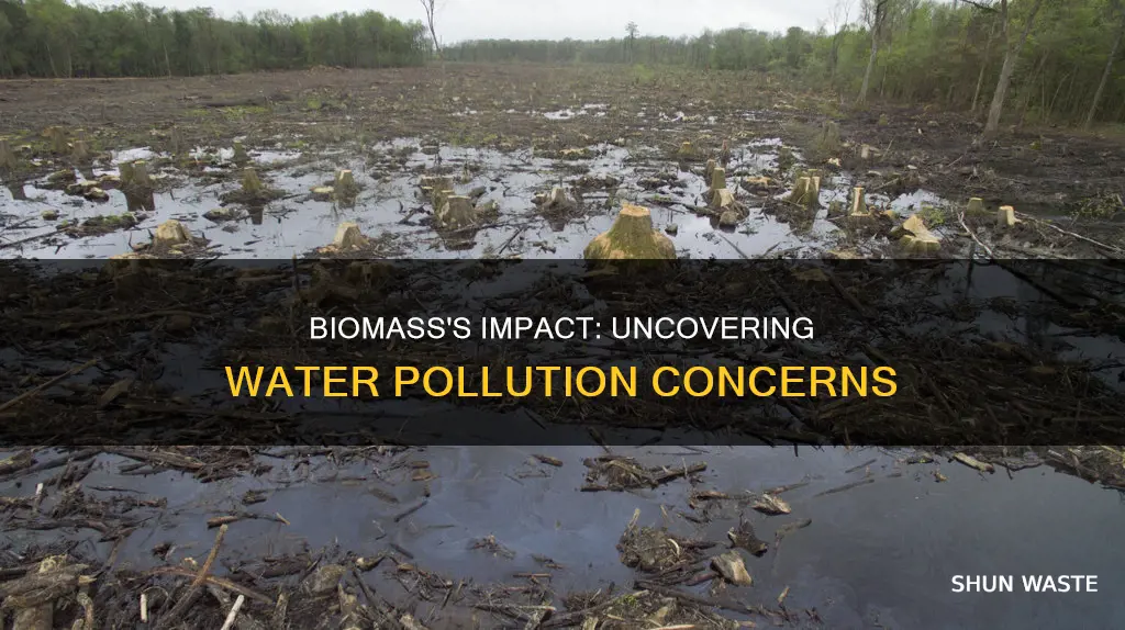 does biomass cause water pollution