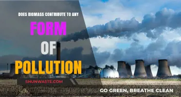 Biomass Energy: Pollution or Solution?