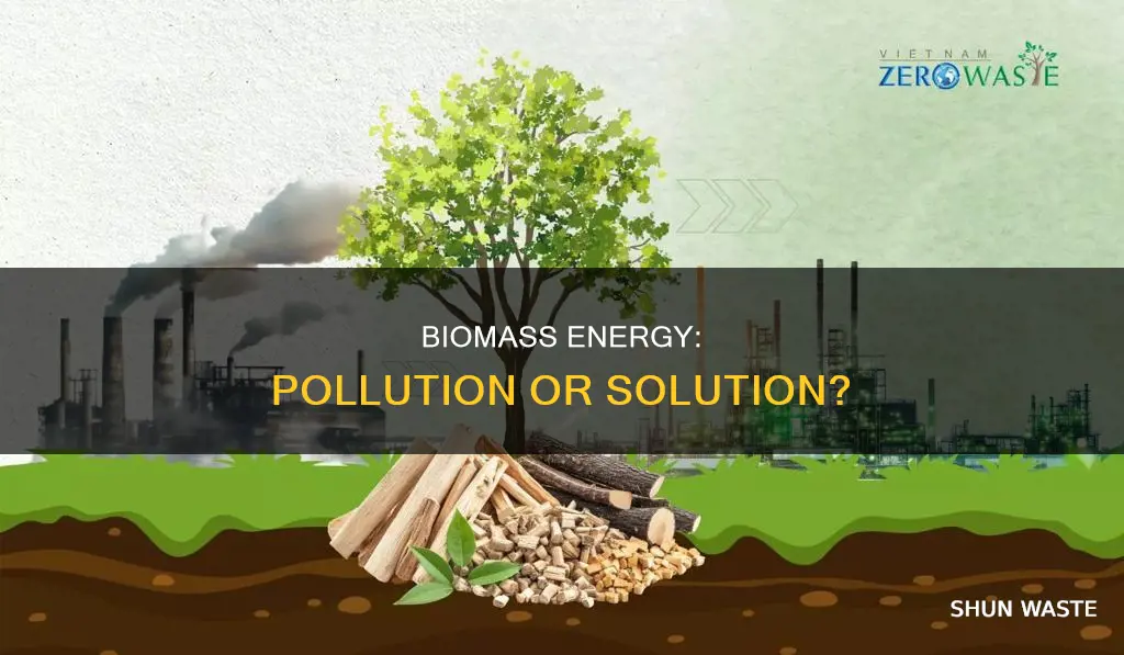 does biomass contribute to any form of pollution