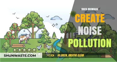Biomass Energy: Noiseless or Not?