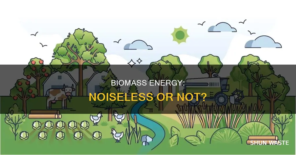 does biomass create noise pollution