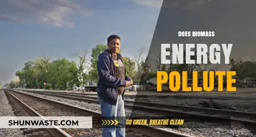 Biomass Energy: Clean or Polluting Power Source?