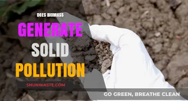 Biomass Energy: Solid Pollution or Clean Energy?