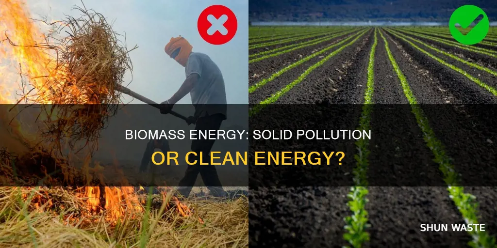 does biomass generate solid pollution