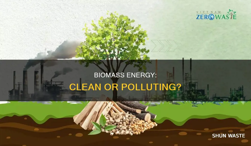 does biomass pollute the earth