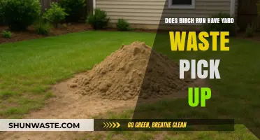 Birch Run Yard Waste Pickup: Services, Schedule, and Guidelines Explained