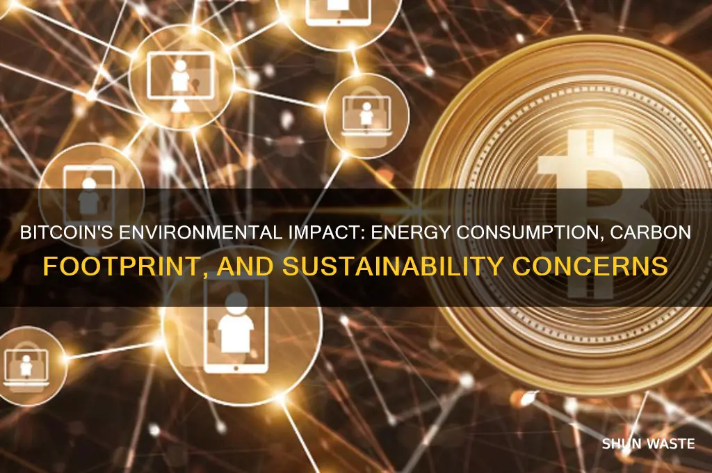 does bitcoin affect the environment