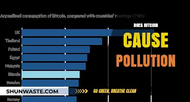 Bitcoin's Environmental Impact: A Deep Dive into Energy Consumption and Pollution