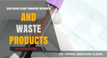 Blood Fluids: Nutrient Delivery and Waste Removal Explained