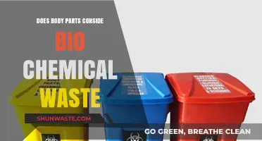 Are Body Parts Classified as Bio-Chemical Waste? Exploring the Facts