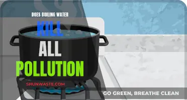 Boiling Water's Power: Can It Purify Pollution?