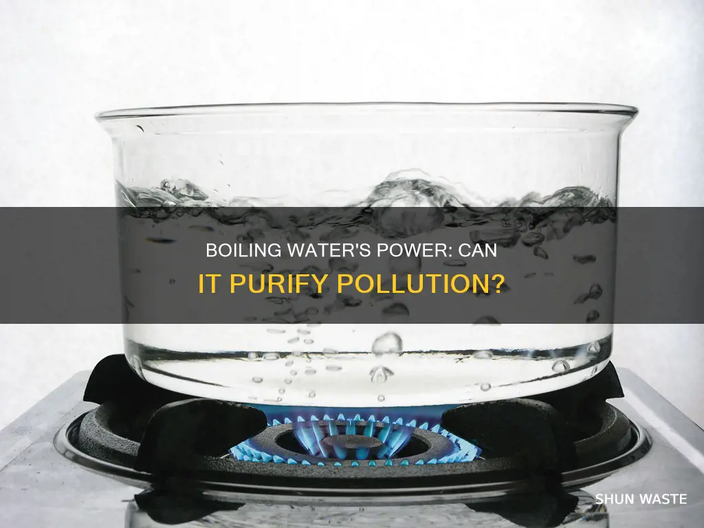 does boiling water kill all pollution