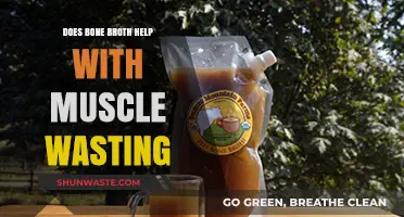 Bone Broth and Muscle Wasting: Fact or Fiction?