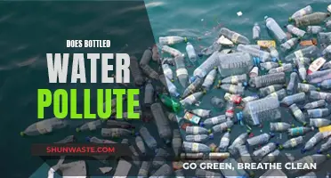 Bottled Water's Environmental Impact: A Polluting Truth