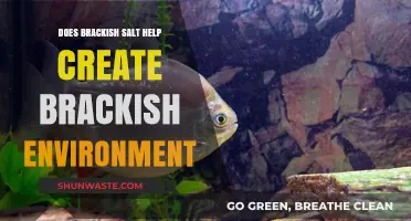 Can Brackish Salt Successfully Recreate a Natural Brackish Water Environment?