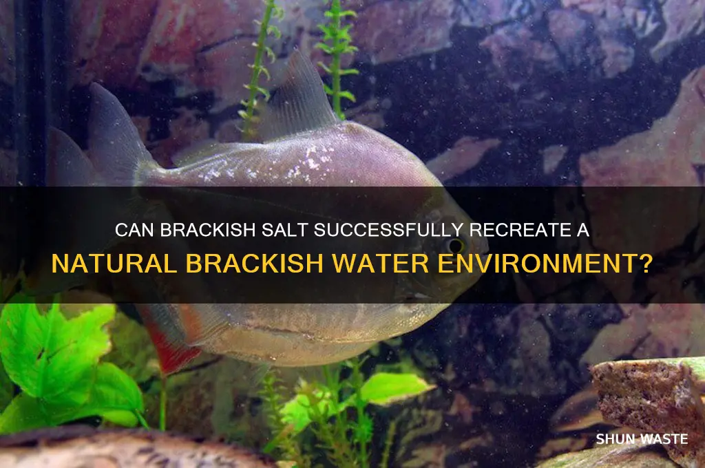 does brackish salt help create brackish environment
