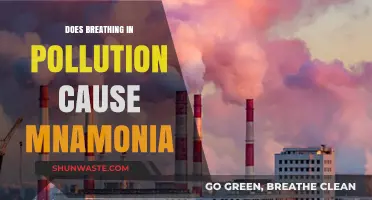 Breathing Pollution's Poison: Unveiling the Link to Pneumonia