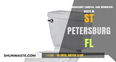 Bridgeway Landfill's Role in St. Petersburg, FL: Municipal Waste Accepted?