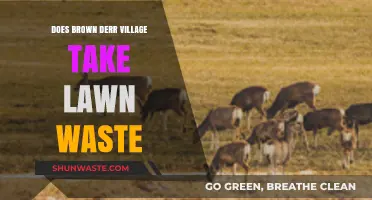 Brown Deer Village Lawn Waste Disposal: What You Need to Know